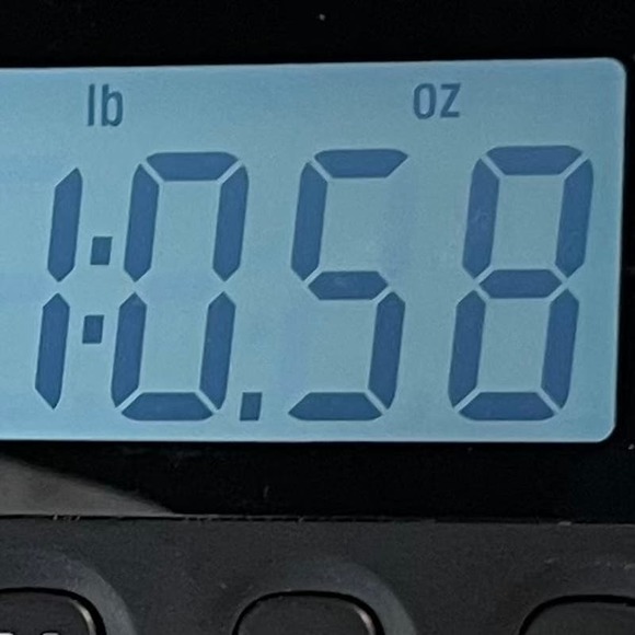 Michael Kors Women's Blouse Size Medium Black and Gray Striped Bell Sleeve - Picture 10 of 11